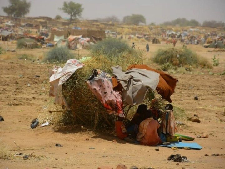 مرصد عالمي:  قرابة 20 مليون شخص يعانون من  “الجوع الشديد” في السودان