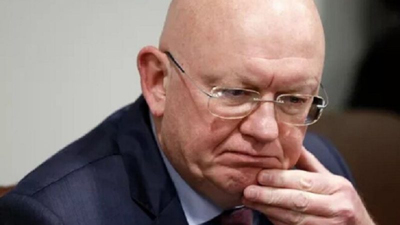 نيبينزيا في مجلس الأمن الدولي: ارتفاع  أسعار النفط يؤثر سلبا على الأمن الغذائي في سوريا