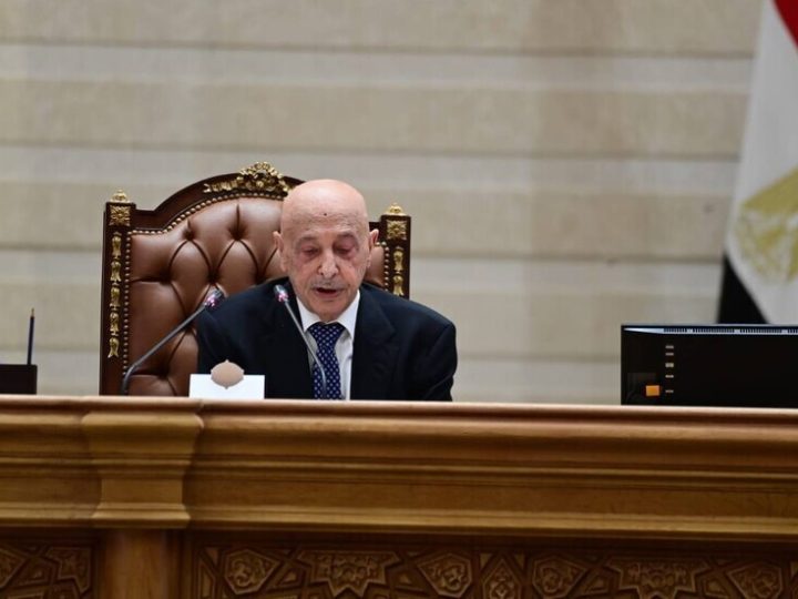 عقيلة صالح من البرلمان المصري: لا حل في ليبيا دون انتخابات وخروج القوات الأجنبية (فيديو)