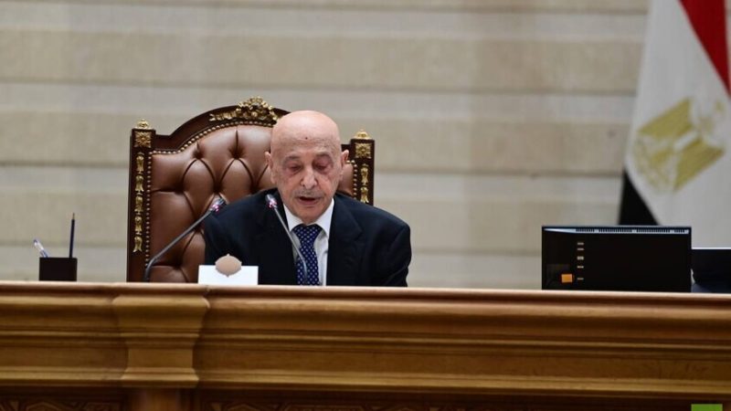 عقيلة صالح من البرلمان المصري: لا حل في ليبيا دون انتخابات وخروج القوات الأجنبية (فيديو)