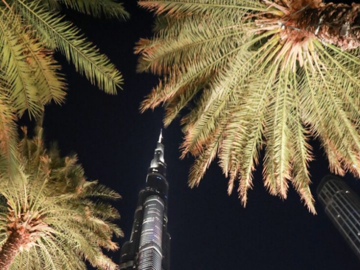 مسؤول إماراتي: الإمارات تمتلك اقتصادا مستقرا ونافذا في جميع الظروف