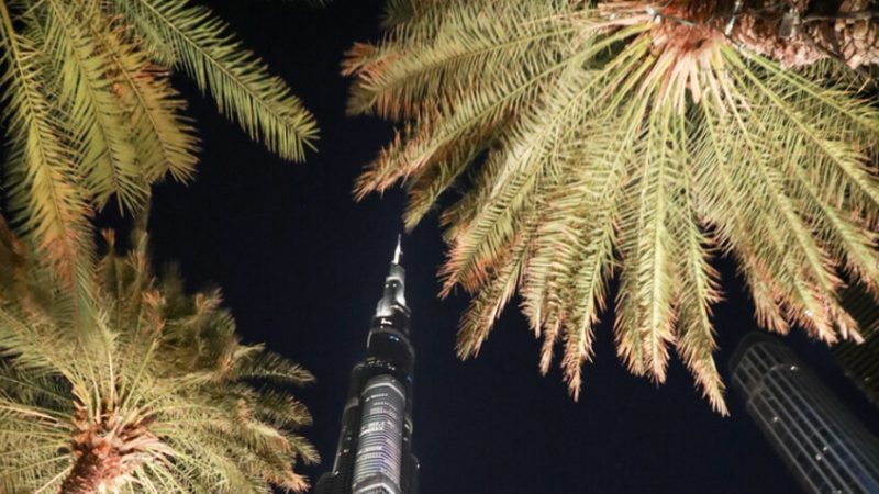 مسؤول إماراتي: الإمارات تمتلك اقتصادا مستقرا ونافذا في جميع الظروف