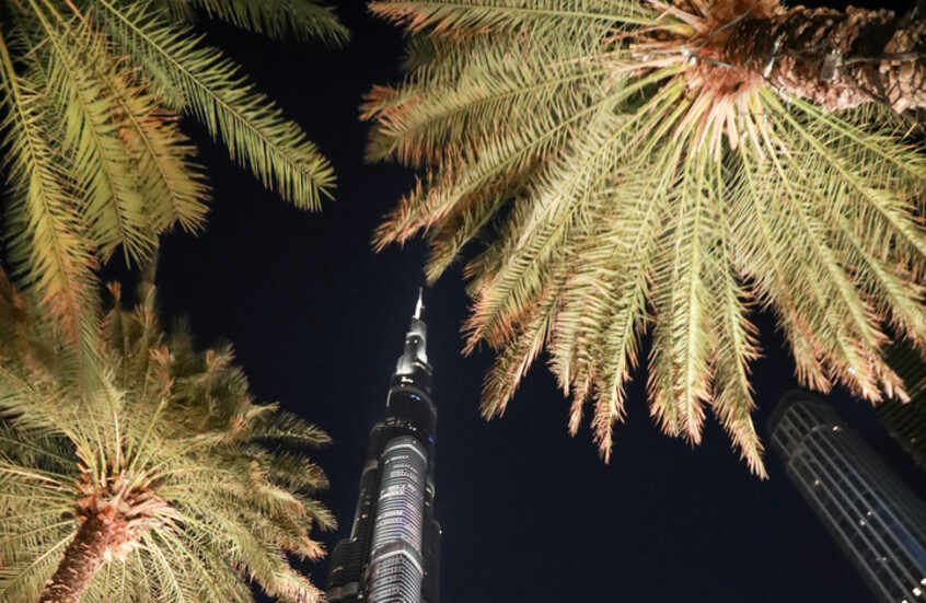 مسؤول إماراتي: الإمارات تمتلك اقتصادا مستقرا ونافذا في جميع الظروف