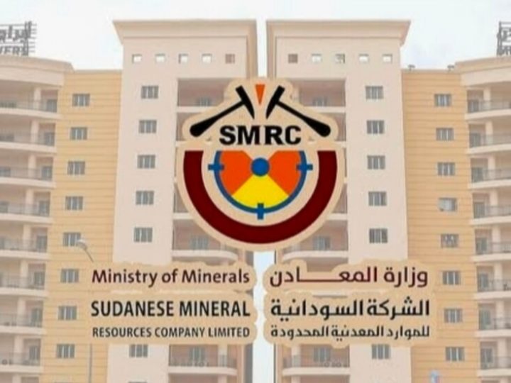 السودان: تشكيل فريق تحقيق بعد تداول فيديو لنفوق الضأن في منطقة تعدين تقليدية