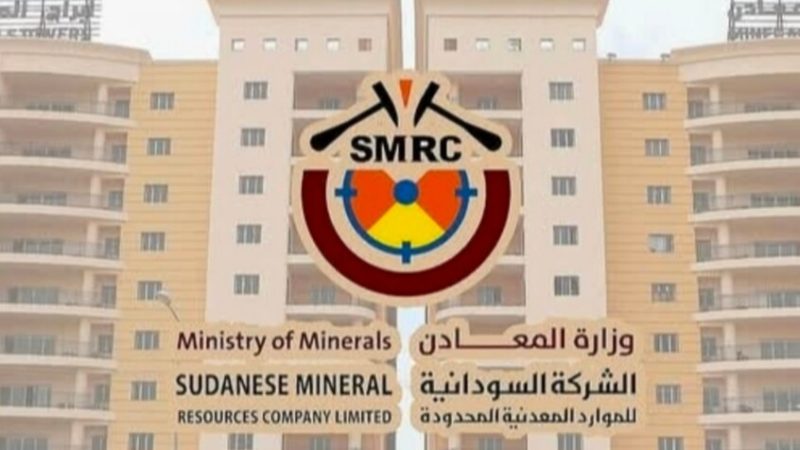 السودان: تشكيل فريق تحقيق بعد تداول فيديو لنفوق الضأن في منطقة تعدين تقليدية