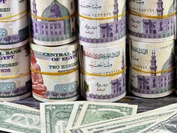 الحكومة المصرية تنفي إصدار ورقة نقدية فئة 10 آلاف جنيه