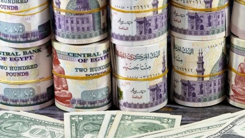 الحكومة المصرية تنفي إصدار ورقة نقدية فئة 10 آلاف جنيه