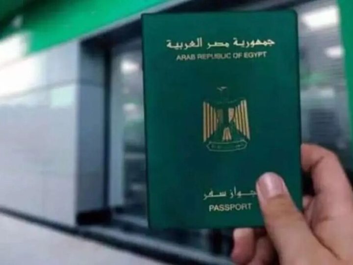 مصر تجرد مواطنا من جنسيته.. ماذا فعل؟