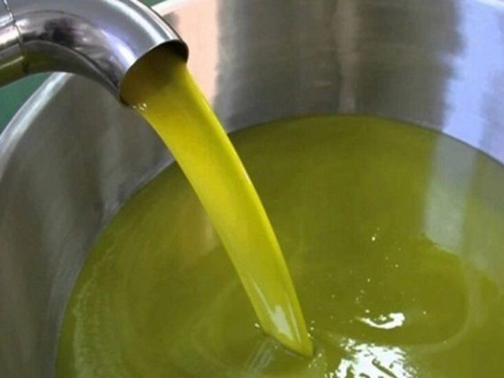 زيت الزيتون التونسي يحقق زيادة مهمة في العائدات وثلاث دول تستحوذ على أكثر من 70% من الصادرات