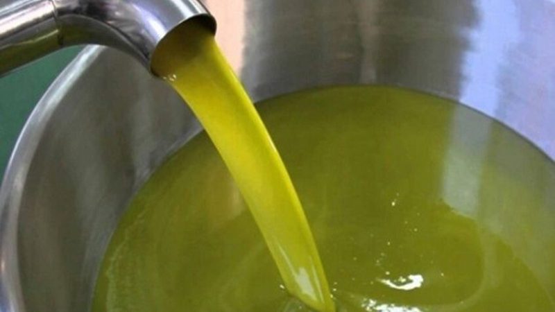 زيت الزيتون التونسي يحقق زيادة مهمة في العائدات وثلاث دول تستحوذ على أكثر من 70% من الصادرات