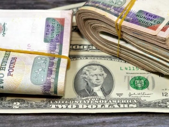 الدولار يشعل الجدل في مصر.. وخبير يفجر مفاجأة لـRT بشأن “السعر العادل”