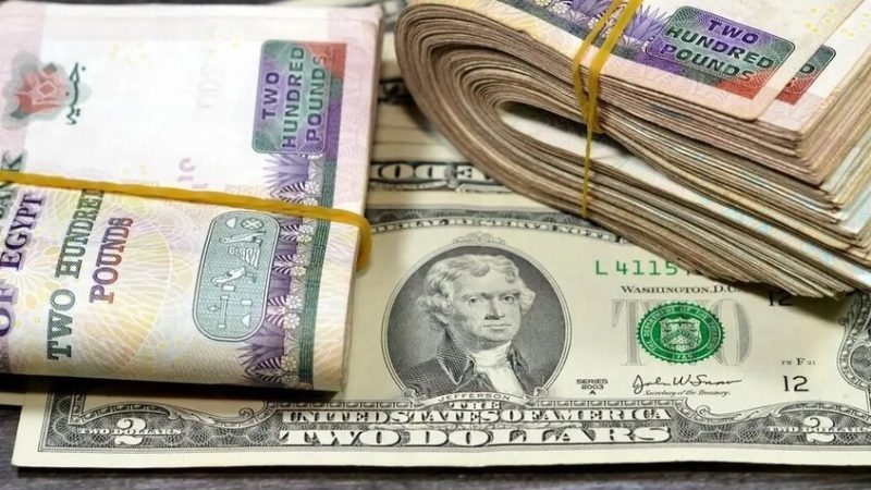 الدولار يشعل الجدل في مصر.. وخبير يفجر مفاجأة لـRT بشأن “السعر العادل”