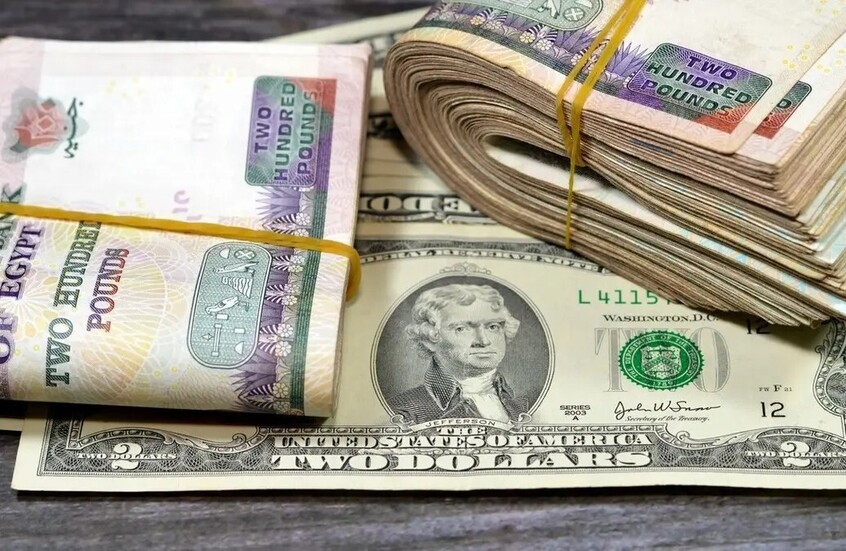 الدولار يشعل الجدل في مصر.. وخبير يفجر مفاجأة لـRT بشأن “السعر العادل”