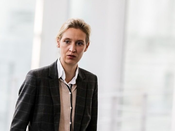 “البديل من أجل ألمانيا” يتهم الحزبين المسيحي والاشتراكي باستحضار طروح عبثية من الماضي