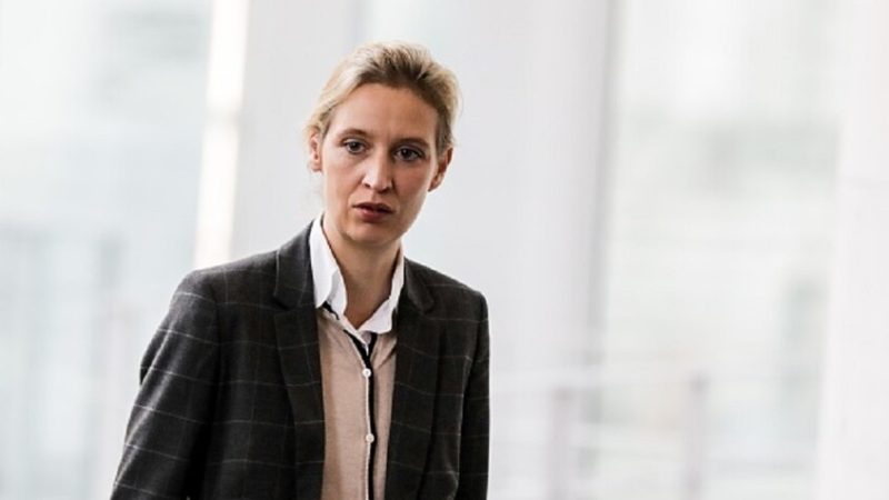 “البديل من أجل ألمانيا” يتهم الحزبين المسيحي والاشتراكي باستحضار طروح عبثية من الماضي