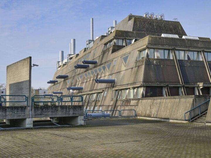 الدفاع الألمانية تتوقع زيادة الأبحاث العسكرية المعتمدة على الحيوانات بحلول 2029