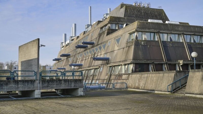 الدفاع الألمانية تتوقع زيادة الأبحاث العسكرية المعتمدة على الحيوانات بحلول 2029