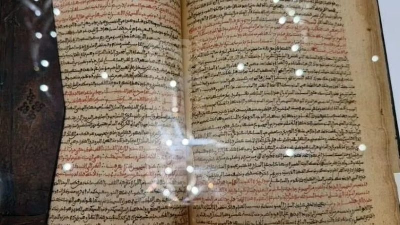 الجزائر تستعيد مخطوطة تاريخية عرضت في مزاد بفرنسا