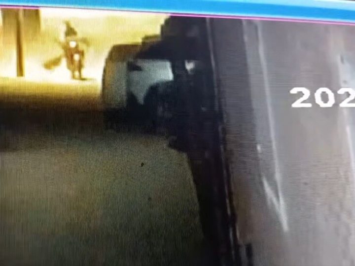 مصر.. تعرض 14 شخصا لهجوم من كلب يشتبه بإصابته بالسعار (فيديو)