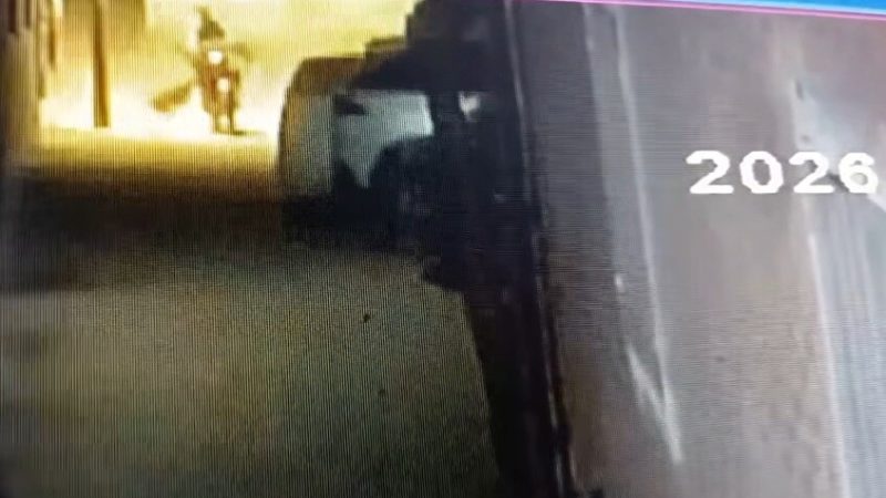 مصر.. تعرض 14 شخصا لهجوم من كلب يشتبه بإصابته بالسعار (فيديو)