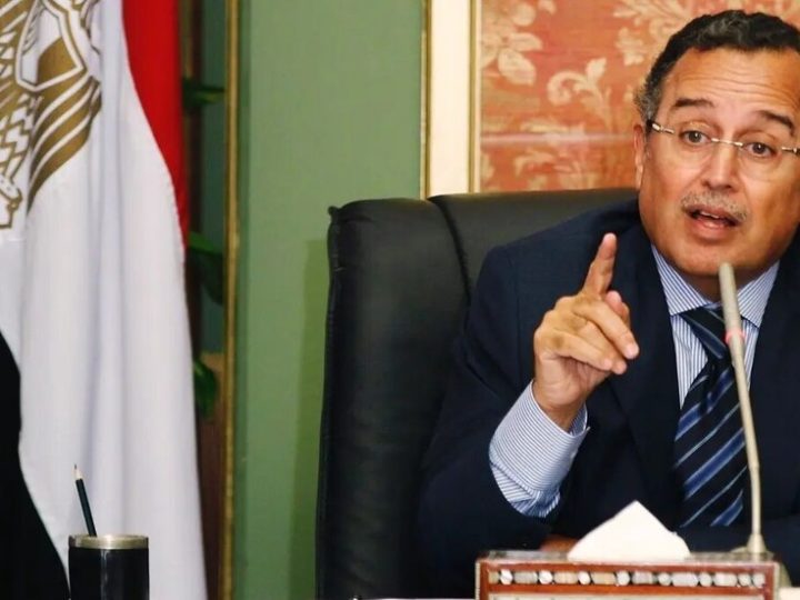 بعد تعيينه رسميا.. نبيل فهمي يتلقى تهنئة رئاسية عربية