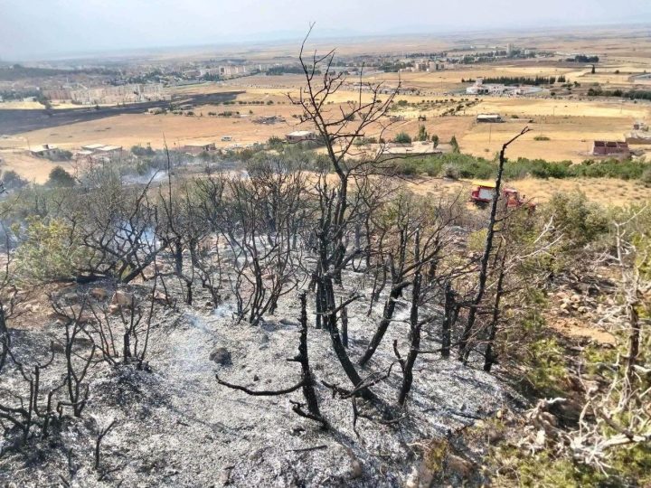 الجزائر.. الحماية المدنية تسجل 13 حريقا في عدة ولايات