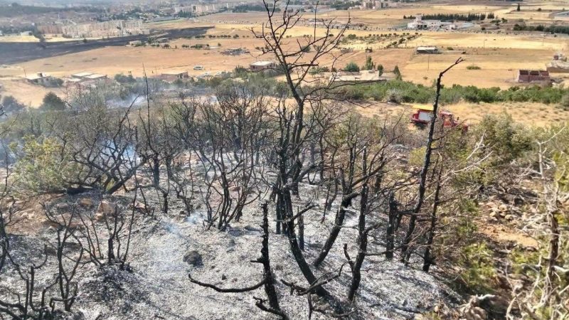 الجزائر.. الحماية المدنية تسجل 13 حريقا في عدة ولايات