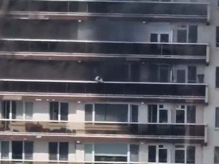 بلجيكا.. حريق كبير يندلع في مجمع سكني بأنتويرب ويوقع ضحايا وإخلاء المئات