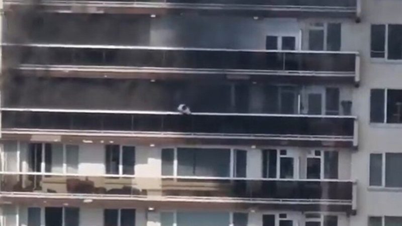 بلجيكا.. حريق كبير يندلع في مجمع سكني بأنتويرب ويوقع ضحايا وإخلاء المئات