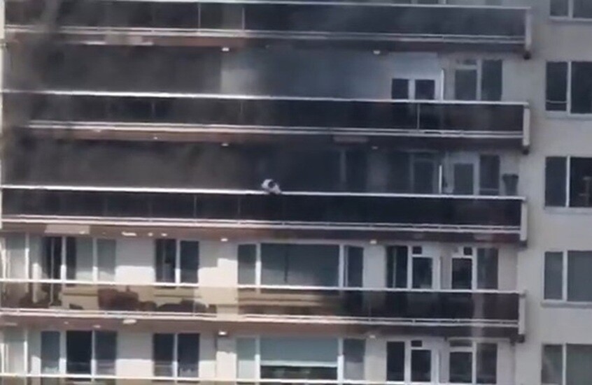 بلجيكا.. حريق كبير يندلع في مجمع سكني بأنتويرب ويوقع ضحايا وإخلاء المئات