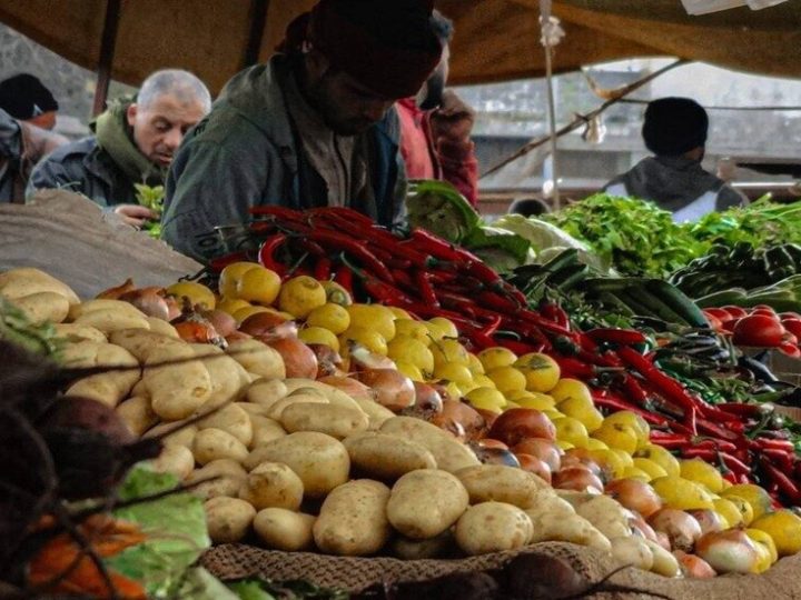 النيابة العامة الليبية تكشف تلوث 65% من المنتجات الزراعية بمبيدات محظورة وتضبط آلاف الأطنان