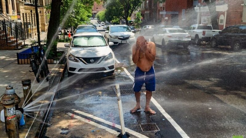مقتل 25 شخصا في الولايات المتحدة بسبب الحر