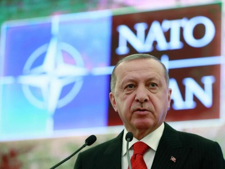 أردوغان: تركيا مستعدة للإسهام في إزالة الألغام من مضيق هرمز
