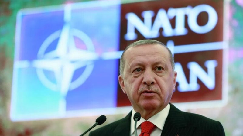 أردوغان: تركيا مستعدة للإسهام في إزالة الألغام من مضيق هرمز