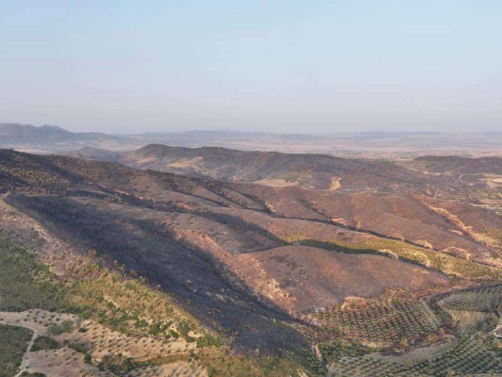 تونس.. السيطرة على حريق جبل الشحمة في زغوان بعد أكثر من 40 ساعة من مكافحة النيران (صور + فيديو)
