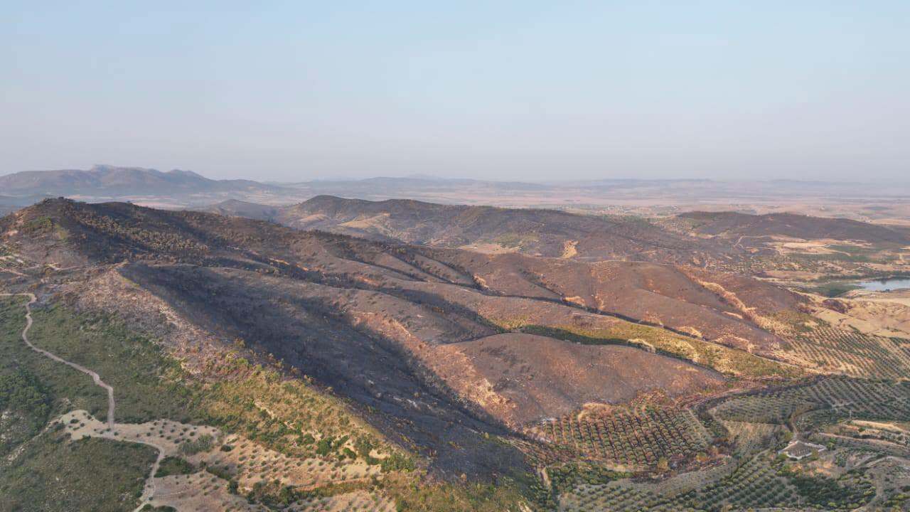 تونس.. السيطرة على حريق جبل الشحمة في زغوان بعد أكثر من 40 ساعة من مكافحة النيران (صور + فيديو)