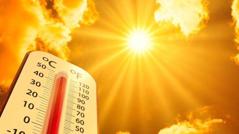 هل تصل موجة الحر غير المسبوقة في المغرب العربي إلى مصر؟