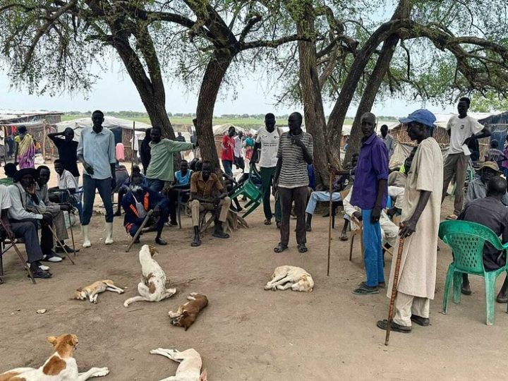 جنوب السودان يفتح أبوابه للمصريين دون تأشيرة.. ورسوم تصل إلى 350 دولارا للآخرين