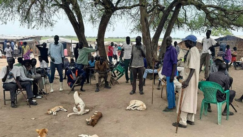 جنوب السودان يفتح أبوابه للمصريين دون تأشيرة.. ورسوم تصل إلى 350 دولارا للآخرين