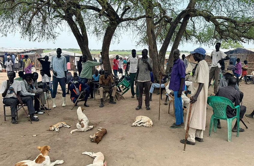 جنوب السودان يفتح أبوابه للمصريين دون تأشيرة.. ورسوم تصل إلى 350 دولارا للآخرين