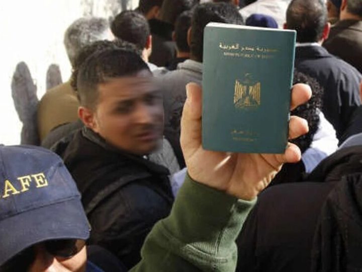 مصر.. قرار حول المفصولين تعسفيا في الخارج