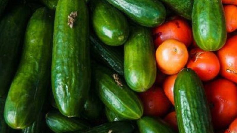 محاصيل على مائدة الليبيين تحت التحذير.. الفراولة والطماطم والخيار في فئة الخطر القصوى