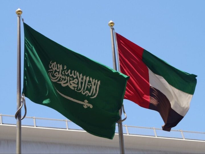 تاريخ مشترك وروابط أخوية راسخة.. مسؤولون في السعودية والإمارات يؤكدون متانة العلاقات بين البلدين