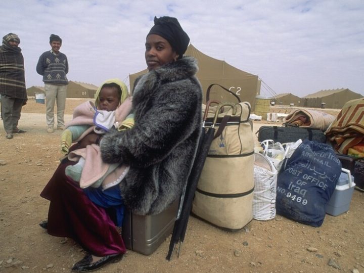 السودان.. ولاية القضارف ترصد ارتفاع وفيات حديثي الولادة وسط جهود للحد من الأسباب الصحية