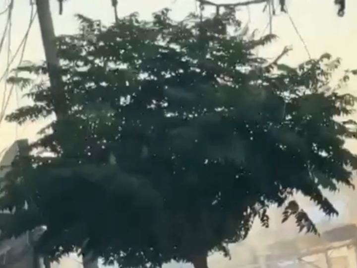 سوريا.. قتيلان وأربعة جرحى في اشتباكات مسلحة شهدتها مدينة طفس بريف درعا