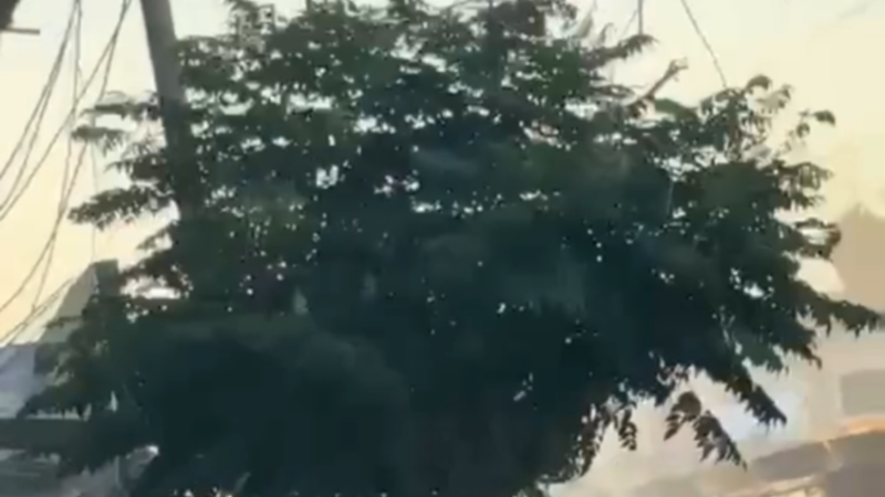 سوريا.. قتيلان وأربعة جرحى في اشتباكات مسلحة شهدتها مدينة طفس بريف درعا