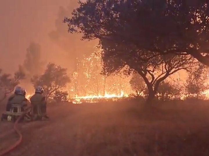 حرائق الغابات في فرنسا تسجل رقما قياسيا بنحو 98 ألف هكتار