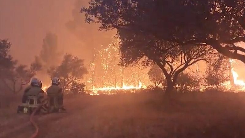حرائق الغابات في فرنسا تسجل رقما قياسيا بنحو 98 ألف هكتار
