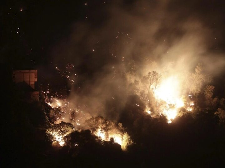 الجزائر.. السيطرة على 91 حريقا من أصل 103 خلال الـ 24 ساعة الأخيرة (صور + فيديو)