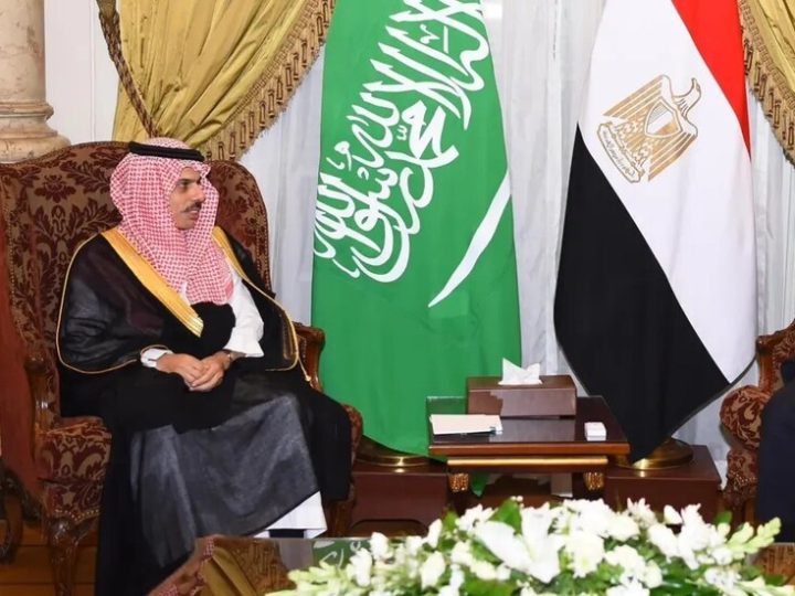مباحثات مصرية سعودية لاحتواء التصعيد بالمنطقة ودعم الحلول الدبلوماسية